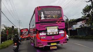 Story wa bus Tunggal Jaya BLACK PINK x kids Panda Terbaru"