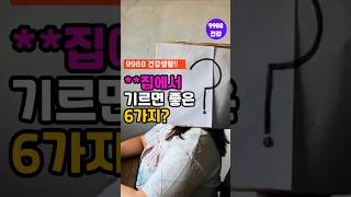 OO집에서 기르면 좋은 6가지?!