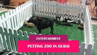 PETTING ZOO IN DUBAI (ID: 9565)