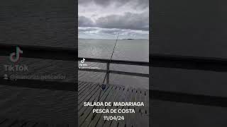 #saladagrandedemadariaga#madariaga#carpfishing #fishing #gratis