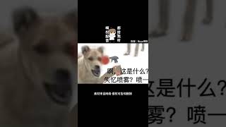 【搞笑配音】啊？这是什么？孟婆汤！喝一下