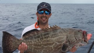 Fishing for big groupers