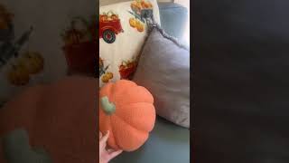 Under $10 Pumpkin Pillows!