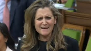 Chrystia Freeland Gets In Trouble🤡🤡