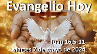 EVANGELIO DEL DIA - Martes 7 de mayo de 2024 - Juan 16,5-11