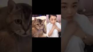 Penasaran #shorts #trending #tiktok #viral