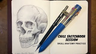 Chill Sketchbook Practice - skull anatomy drawing