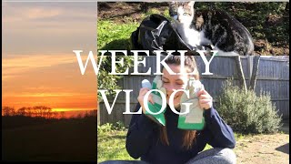 VLOG | Garden Transformation pt 2 + Sunset Walks