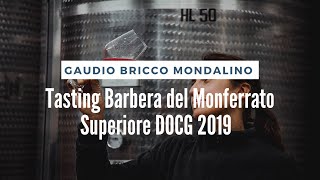 Taste Test: Tasting Barbera del Monferrato Superiore DOCG 2019 with Beatrice Gaudio