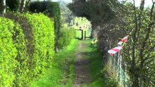 Mow Cop Fell Race 2011