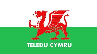 Teledu Cymru Startup (Mock)