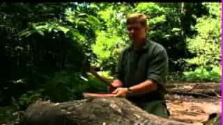 Choosing The Right Axe (Ray Mears)