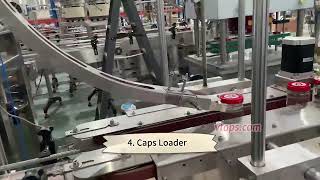 Efficient Chili Sauce Bottling Line Workflow: Automated Filling, Capping, and Labeling Process