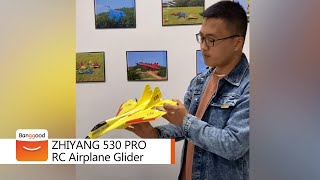 ZHIYANG 530 PRO FPV RTF RC Airplane Glider - Shop on Banggood