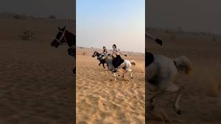 Dubai desert horse riding #beach #horseride #arabichorse #horse #horseridding