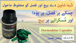 Dermashine is a Trichoderma Türkiye recipe acts as a bio Fungicides, bio fertilizer, for all plants