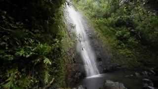 Manoa Falls short clip