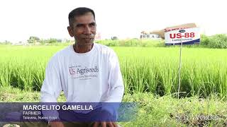 Testimony of farmer Mr. Marcelino Gamella of Talavera