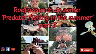 Roofvissen in de Zomer 'Predator fishing in the summer' part 3