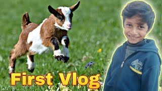 My First Vlog Mehar Ayan