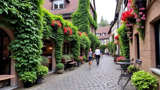 The Beautiful MEDIEVAL Village from the East of France - A hub for winemaking in the Alsace region,