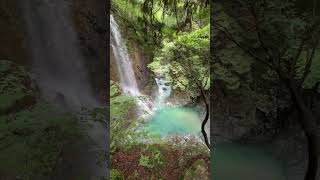 Amazing Beautiful Water Falls #naturesounds #naturelovers #shortvideo #viralshorts #asmrsounds