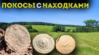 Поиск клада на покосе 💰 Собираем монеты 💸 Коп поиск монет 2024