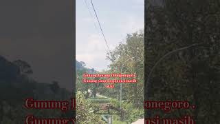 di Bojonegoro ada gunung yang masih aktif !!!!