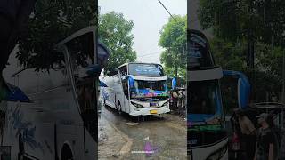 Telolet basuri po sakura trans putri sakura #busmania #bus #shorts