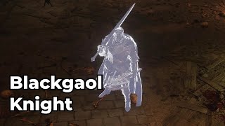 Elden Ring Shadow of the Erdtree Blackgaol Knight Boss Fight