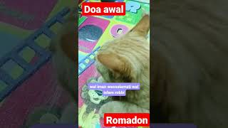 kucing main.sound do'a awal romadon