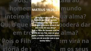 MATEUS 16: 26, 27 | O FILHO DO HOMEM VIRÁ NA GLÓRIA DO PAI #jesus #cristo #espiritosanto #deus