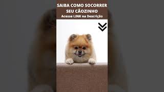 Cachorrinho mais "Cute, Cute", que Você já Viu! #short