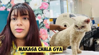 Makasa Ghar Se Chala Gaya | Sab Ro rahe hai😭 | Mahjabeen Ali