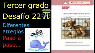 ✅TERCER GRADO👉 DESAFÍO 22 Diferentes arreglos🖼🐬🐆🐸