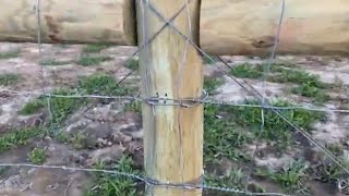 Putting Up A Fence And Telling Where The Bees Are Going To Go.