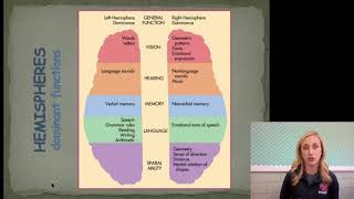 Brain 2 Flipped Video Notes Part Two by Mandy Rice for AP Psychology