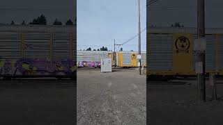 Rare EMD Duo on ANYPS 9-22-24