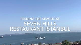 Feeding seagulls Istanbul turkey Seven hills restaurant