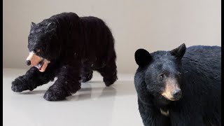 Como fazer urso negro de papelão