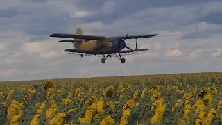 Авиа обработка полей в Казахстане#farming