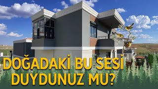 Doğadaki huzurun sesini bu mülkümüzde dinlemek ister misiniz ?