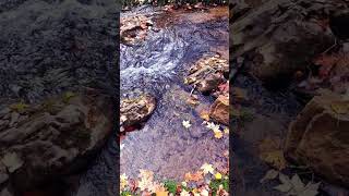 October Stream Flow 6 #outdoors #fun #hiking #hydrology #flowing #bewatermyfriend #bewater #h2o