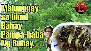 Ginataang Malunggay na may Inihaw na Tulingan｜BEDSBOY TV