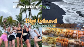 BIG ISLAND HAWAII VLOG 2 🌺🌴 | day in the life!!