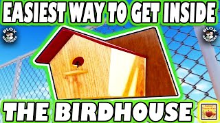 EASIEST WAY How To Get Inside " THE BIRDHOUSE " / Easy Tutorial Steps / Secret Staycation