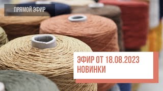 Two hands - Обзор новинок 18.08.2023