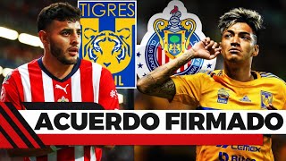 SE ACABO LA NOVELA ALEXIS VEGA NUEVO REFUERZO DE TIGRES A CAMBIO DE RAYMUNDO FULGENCIO PARA CHIVAS