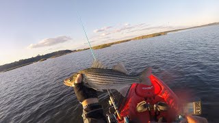 Striped Bass Kayak Fishing, 10/3/2020