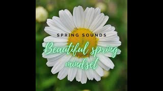 Spring flower and beautiful nature sound